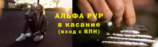 2c-b Бородино